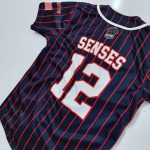 Custom Baseball Jersey – Pinstripe