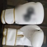 Boxing Gloves – Gold Trim