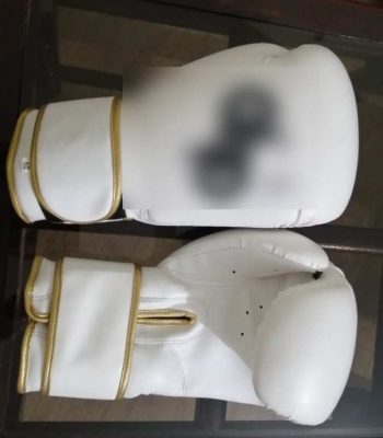 Boxing Gloves – Gold Trim