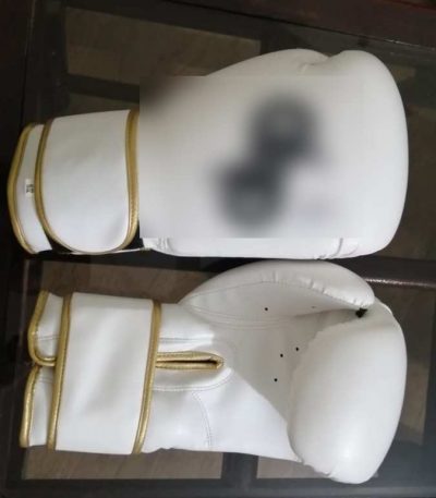 Boxing Gloves – Gold Trim