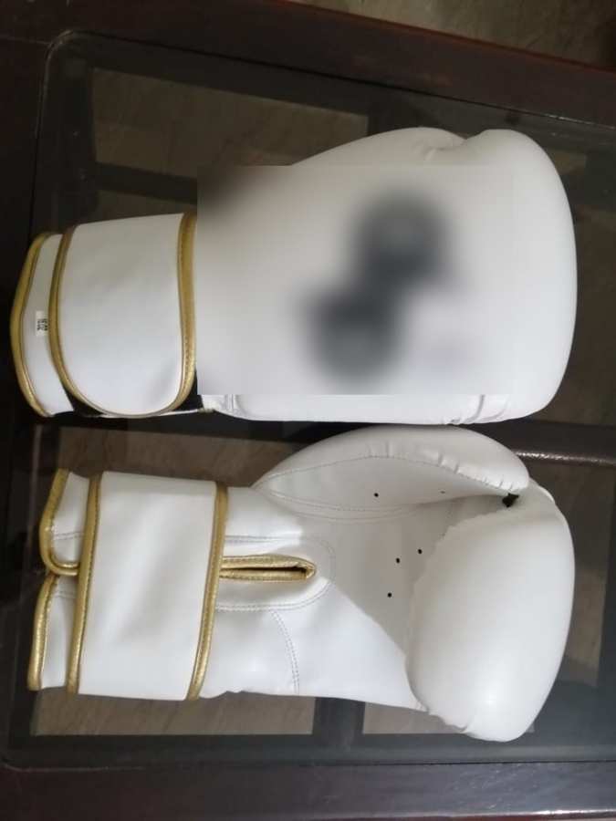 Boxing Gloves – Gold Trim