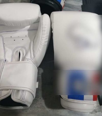 Boxing Gloves – Tricolor Cuff