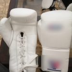 Premium Boxing Gloves, Punching Bag & Safety guards
