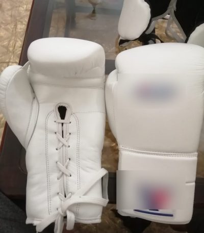 Premium Boxing Gloves, Punching Bag & Safety guards