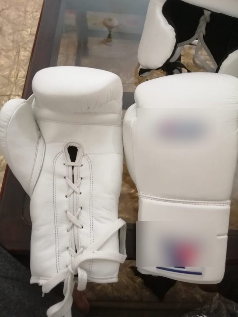 Premium Boxing Gloves, Punching Bag & Safety guards