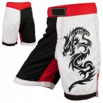 Custom MMA Shorts – Dragon Print