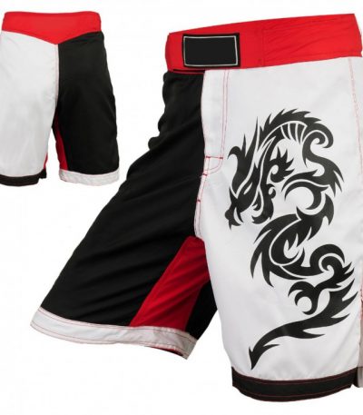 Custom MMA Shorts – Dragon Print